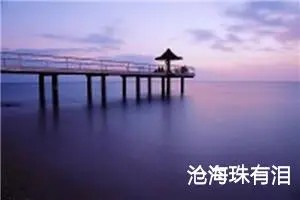 沧海珠有泪