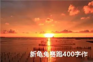 新龟兔赛跑400字作文四年级下册（精选10篇）