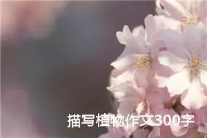 描写植物作文300字三年级（精选12篇）