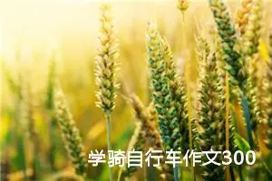 学骑自行车作文300字三年级（精选10篇）