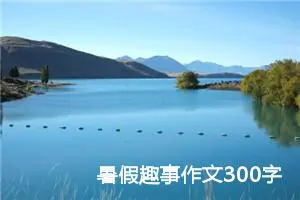 暑假趣事作文300字三年级（精选20篇）