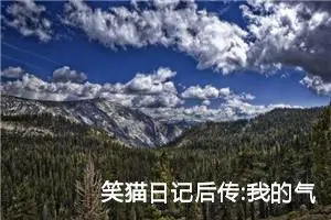 笑猫日记后传:我的气息