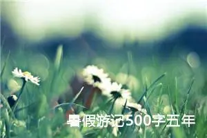 暑假游记500字五年级作文（精选10篇）