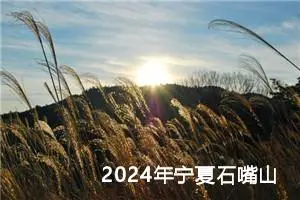 2024年宁夏石嘴山中考作文题目公布