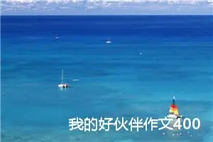 我的好伙伴作文400字四年级（精选10篇）