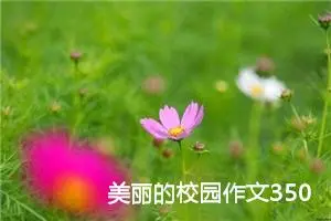 美丽的校园作文350字三年级（精选10篇）