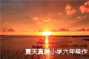 夏天真美小学六年级作文（精选10篇）