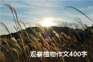 观察植物作文400字四年级（精选10篇）