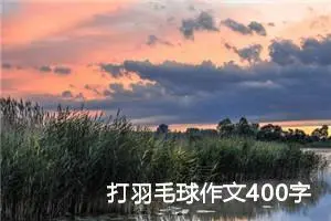 打羽毛球作文400字四年级（精选10篇）