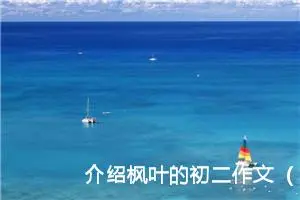 介绍枫叶的初二作文（精选10篇）