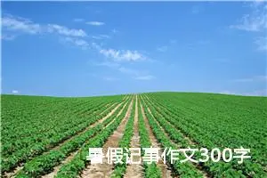 暑假记事作文300字初一（精选10篇）