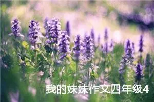 我的妹妹作文四年级400字（精选10篇）