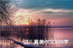 这儿真美作文300字左右三年级（精选10篇）