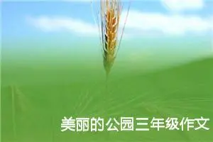 美丽的公园三年级作文300字（精选10篇）