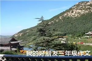 我的好朋友三年级作文300字（通用12篇）