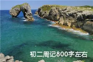 初二周记800字左右（10篇）