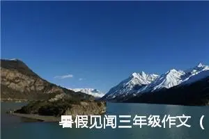 暑假见闻三年级作文（精选10篇）