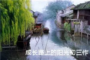 成长路上的阳光初三作文800字（10篇）