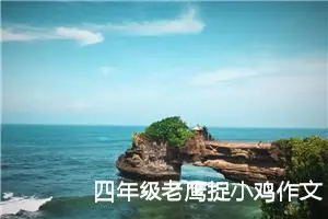 四年级老鹰捉小鸡作文范文400字（通用12篇）