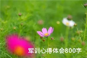 军训心得体会800字高中（精选10篇）