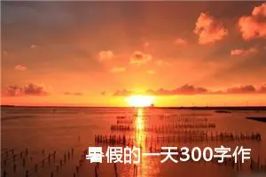 暑假的一天300字作文三年级（精选10篇）