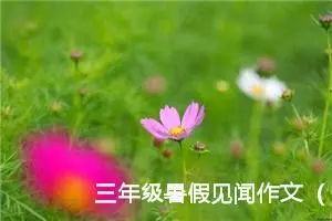 三年级暑假见闻作文（精选10篇）