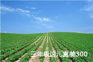 三年级这儿真美300字作文（通用10篇）