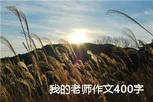 我的老师作文400字五年级上册（精选10篇）