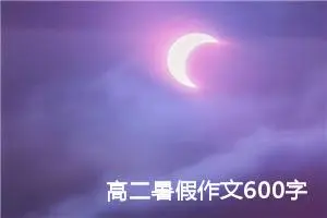 高二暑假作文600字左右（精选10篇）