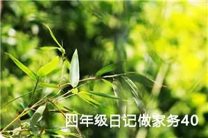 四年级日记做家务400字（精选10篇）