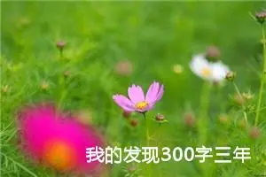 我的发现300字三年级作文（通用10篇）