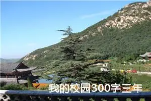 我的校园300字三年级作文（精选10篇）