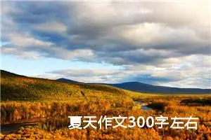 夏天作文300字左右三年级（精选20篇）