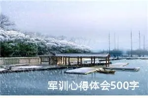 军训心得体会500字高中生（精选10篇）