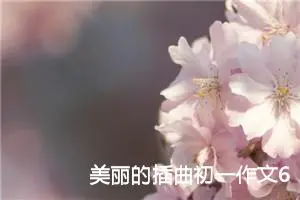 美丽的插曲初一作文600字左右（10篇）