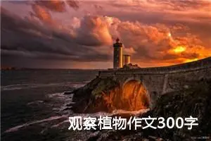 观察植物作文300字三年级（通用12篇）