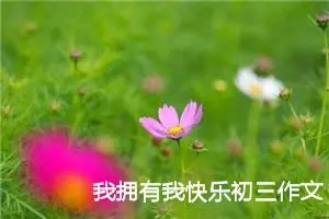 我拥有我快乐初三作文800字10篇