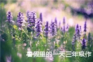 暑假里的一天三年级作文（精选10篇）