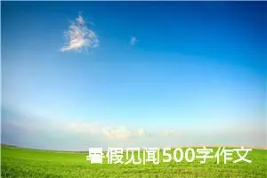 暑假见闻500字作文五年级（精选10篇）