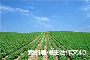 我的暑假生活作文400字四年级（精选20篇）