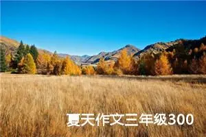 夏天作文三年级300字（精选10篇）