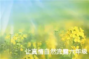 让真情自然流露六年级作文500字（精选10篇）