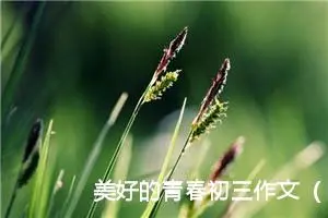 美好的青春初三作文（精选30篇）