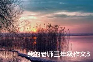 我的老师三年级作文300字（精选20篇）