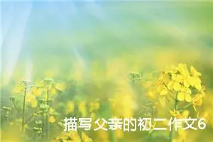 描写父亲的初二作文600字20篇