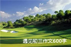 遇见初三作文600字左右（20篇）