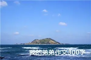 我的弟弟作文300字三年级（精选20篇）