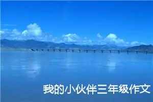 我的小伙伴三年级作文300字（精选22篇）