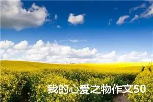 我的心爱之物作文500字五年级上册（精选30篇）