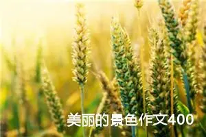 美丽的景色作文400字四年级（精选20篇）